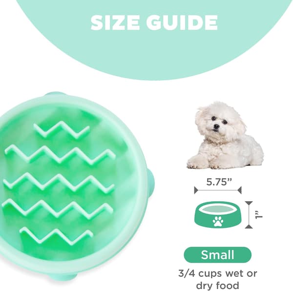 Hundmatskål - Långsam utfodring - Mintgrön - Liten/Pytteliten