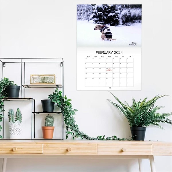 Hundebæsj Veggkalender Morsom 2024 Hunder Med Vakker Kalender For Familie Planlegger 2024()