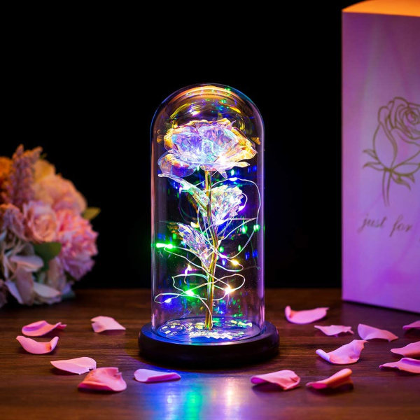 Skönheten och odjuret Rose i glaskupol LED-ljus Kristallrosa blommor Present till födelsedag Jubileum Alla hjärtans dag Bröllop Flickvän Hustru Kvinnor