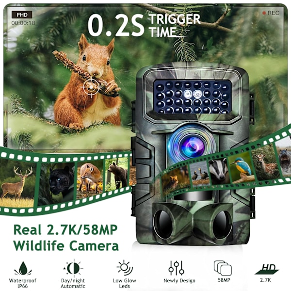Riistakamera, 58MP Full HD -riistakamera, IP66 vedenpitävä eläinkamera, riistakamera 2,0 tuuman videonäytöllä[GKS]