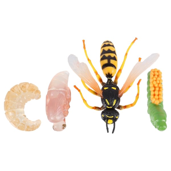 1 set/4 st. Realistisk insektstillväxtmodell Getingdisplay prydnad för barn kognitiv leksak 8.5X5CM
