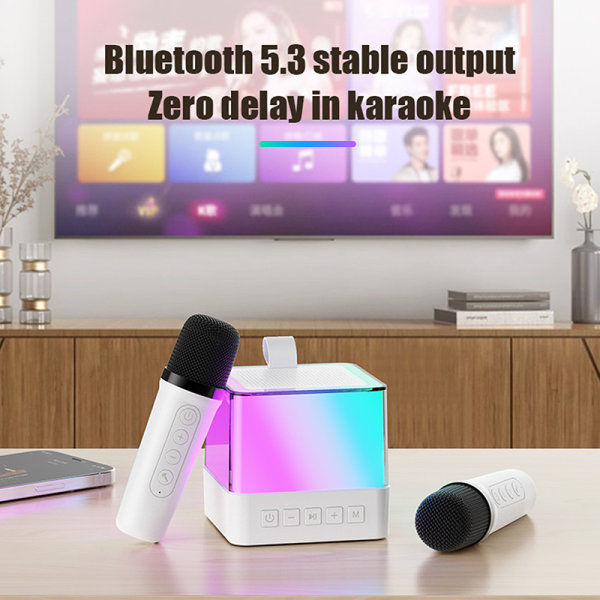 Karaoke-högtalare Dubbelmikrofon Högkvalitativ stereohögtalare White 1PCS
