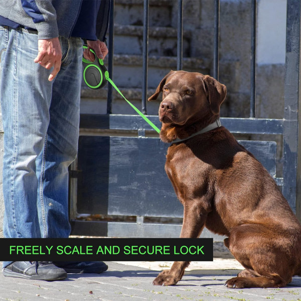 Infällbar hundledning, förstärkt förlängbar med halkfritt handtag och justerbar hundledning, trasselfri, 5M / 16FT starkt nylon , (grön)