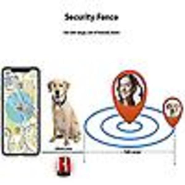 Smart GPS-sporingshalsband for katt og hund