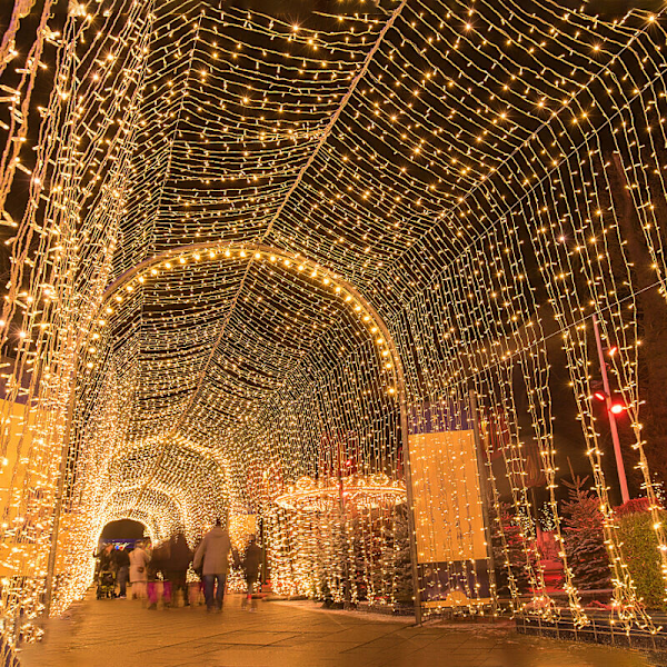 Ljusslinga 100m 1000 LED-slinga Julgransdekorationer Inomhus Julgirlang för Utomhusträdgård Vattentät Festoon Nyår KLB