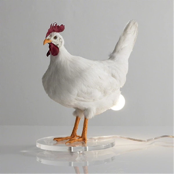 Kylling LED Lampe Egg Nattlys Utstoppet Egg Bordlampe