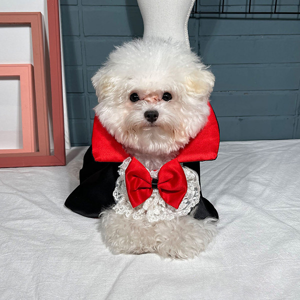 1 stk Halloween Dekorativ Mantel Husdyrkostume Stor Hundekostume