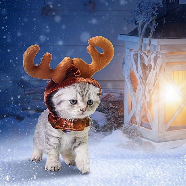 Katt kostyme jul reinsdyr horn hatt kjæledyr julekostyme for katter og små hunder (S)