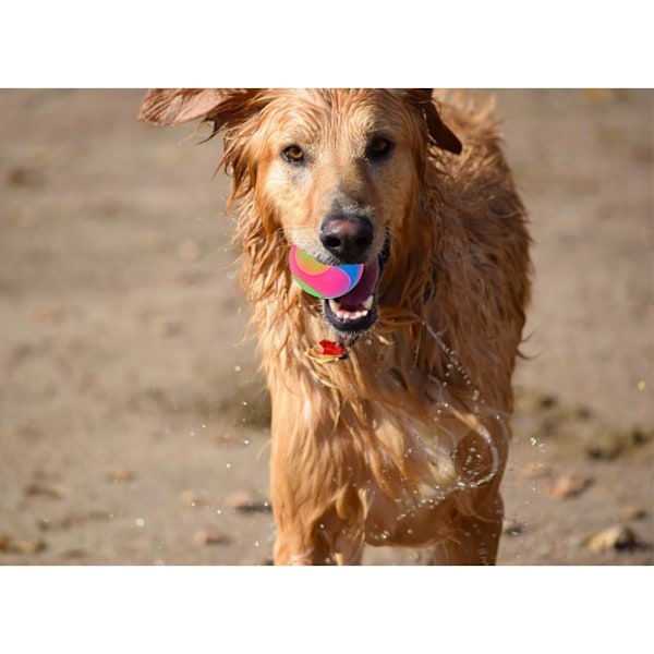 2 stk. glatte bolde Lysende hundebolde Blinkende elastisk bold Glød