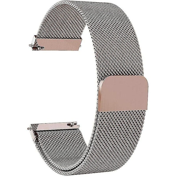 Til Garmin Vivomove Style/GarminMove Style Mesh Udskiftningsrem Magnetisk Smart Watch Rem (20mm)