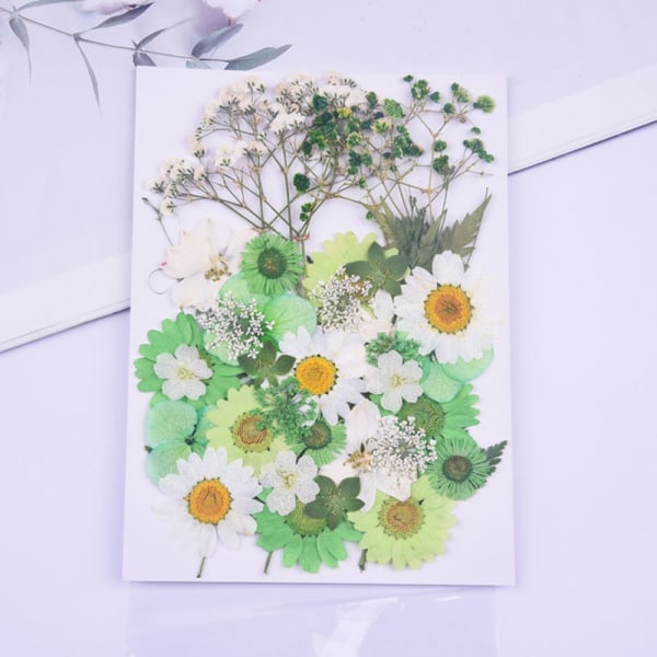 Tørket blomstersett DIY pressede blomster tørkede håndverk ekte blomster bokmerke floral dekor vinterhvit