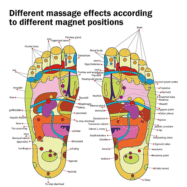 Magnetiska Terapi Sulor Andningsbara Massage Sulor Reflexologi Fotvärk Akupressur Förbättra Blodcirkulationen Plantar Fasciit Fotvård S