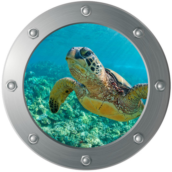 3D Submarine Porthole väggdekal - Turtle (Diameter: 29cm), Wal