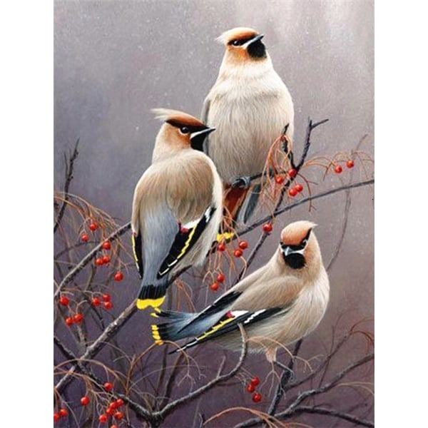 30x40cm 5D DIY Diamond Painting Full,Birds Series#B, DIY Diamond