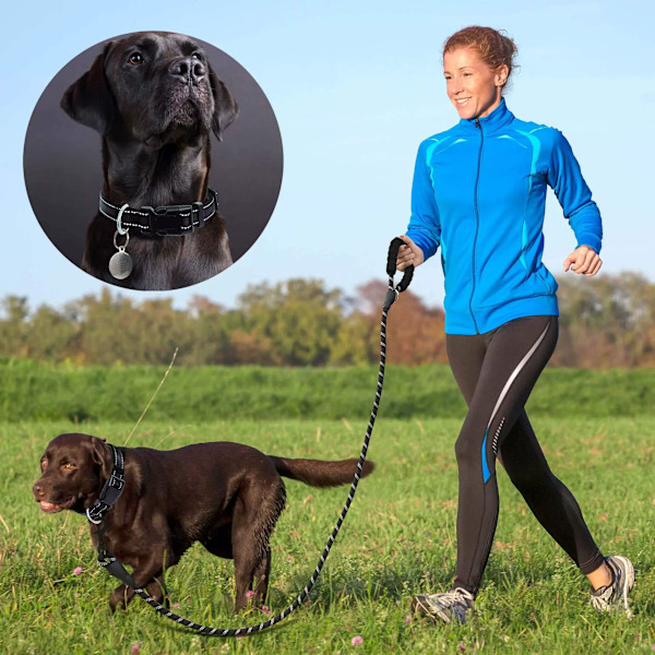 Reflekterande Hundhalsband Vadderat med Mjukt Neopren som Andas