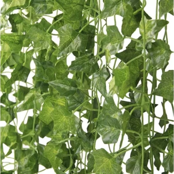 25 meter Eføykrans / Løvkrans - 2 m lang Green Green