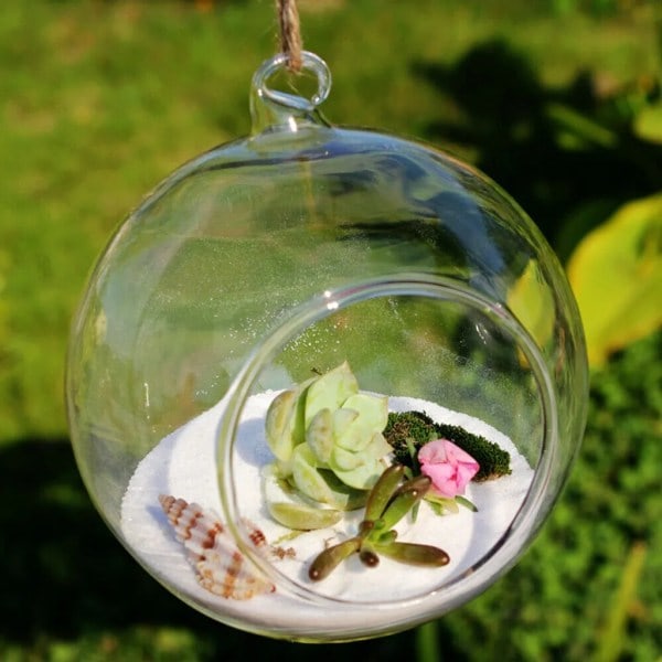 6 stk. 10 cm hengende glasskule klar vase blomsterpotte planter landskap terrarium beholder bryllup lys bryllupsdekorasjon[GKS]