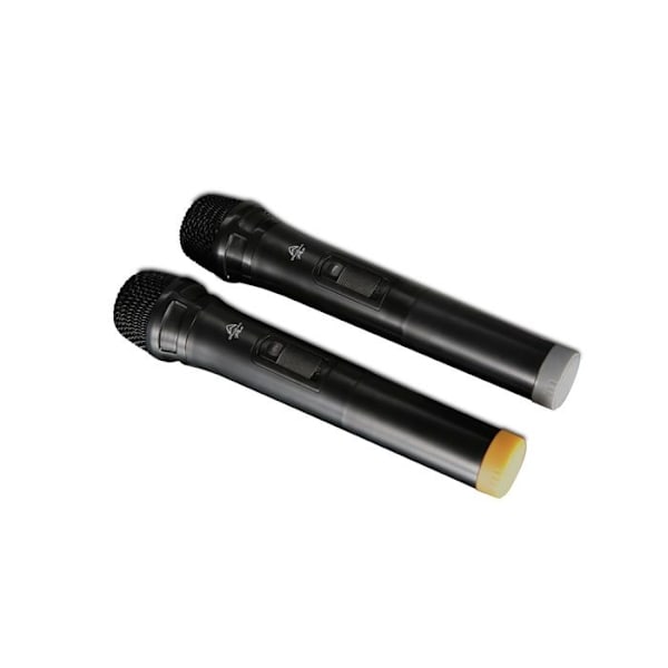 Bärbar aktiv högtalare - Wharfedale Pro - EZ-12A - 100W - Bluetooth - 12 tum Svart