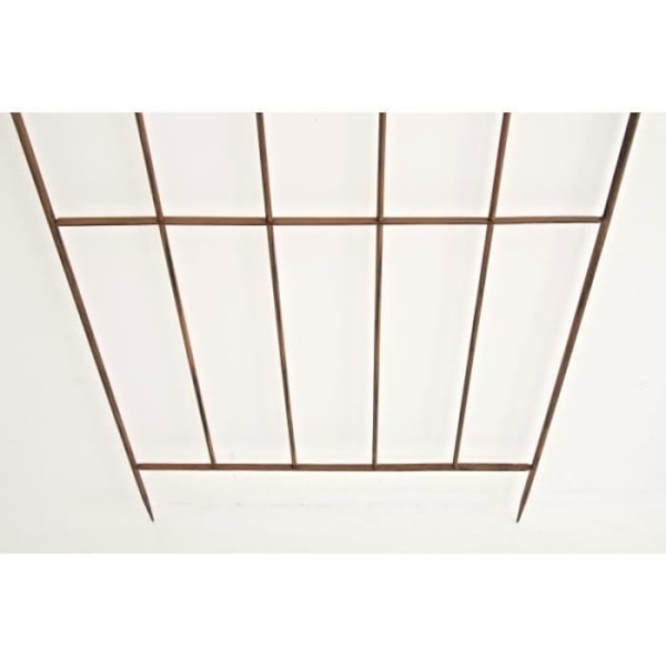 Väggställning för klättrande växter - CLP - PAULA - Järn - Antikbrun - 170 x 85 cm antikbrun