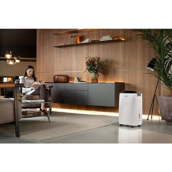 Delonghi AriaDry Evo 16L/dag DEP216