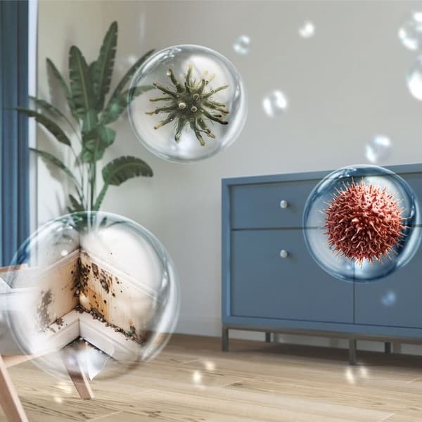 Avfuktare Philips Serie 3000 DE3306/11 Vit Vit