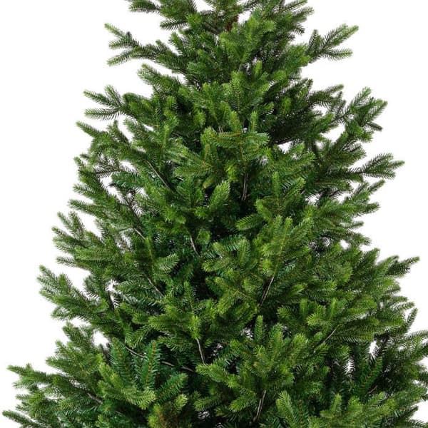 JULGRAN 210CM NORDMANN GRÖN Grön