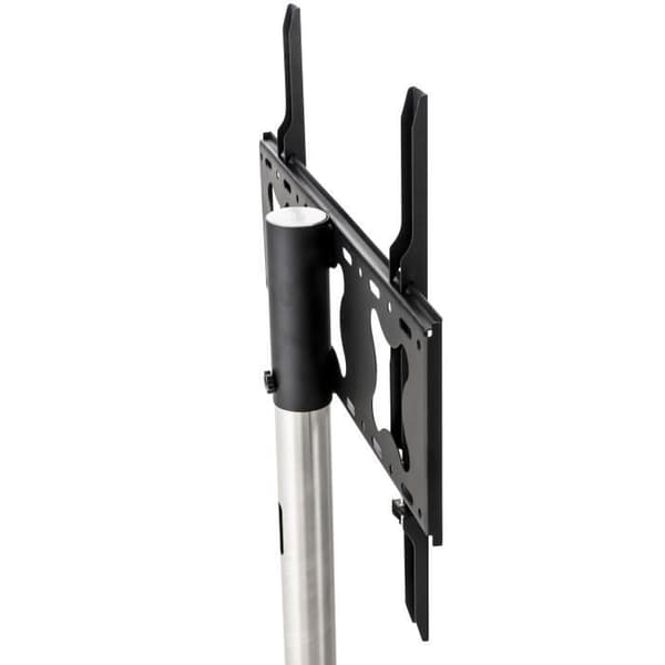 -CLP-Pied TV-Array
