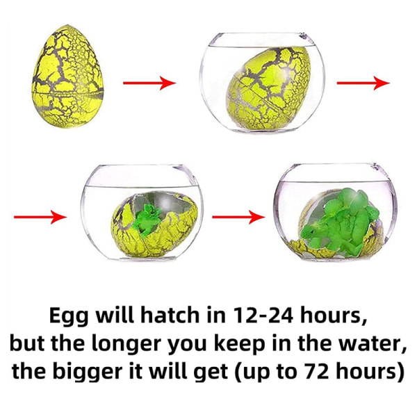 24 st/förpackning Växande ägg kläckande Dino-ägg växer i vatten Dino E Multicolor 7,5x11,5 Multicolor 7.5x11.5