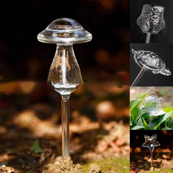 11 Typer Glas Blommor Vattenmatare Automatisk Självbevattning De Transparent 2 Transparent 2