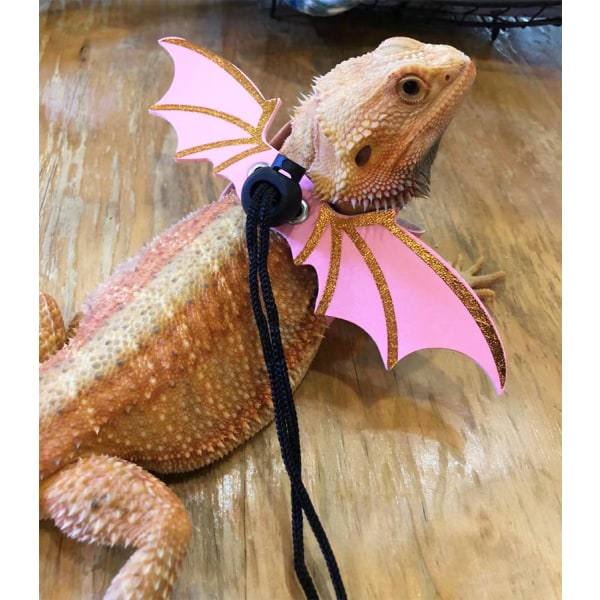 Lizard Leash Harness, 3 størrelser Læder Wing Lizard Sele med aftagelig Lizard Line til krybdyr, Outing Lizard Rep Reptil Tilbehør Pet Udendørs C