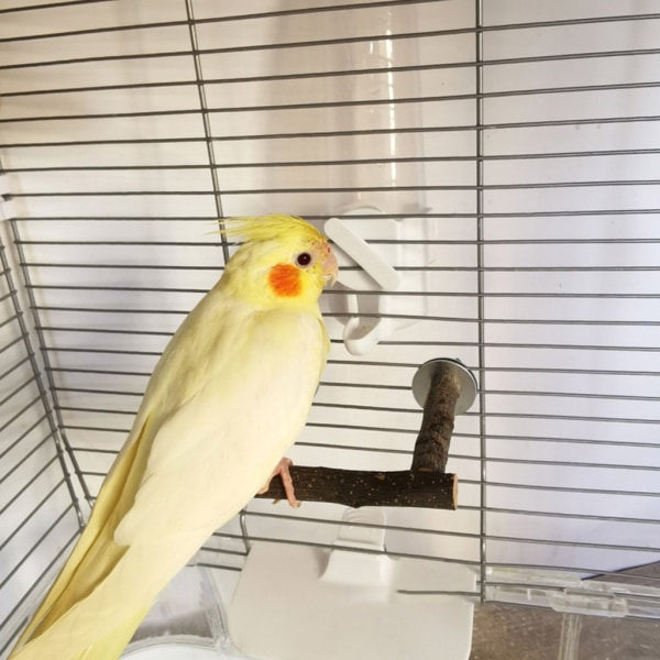 Fuglepinde Naturligt Træ Stativ U-formet Bar Bur Legetøj til Cockatiels Conures M