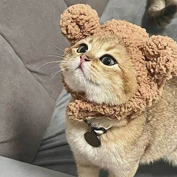 Söpö Kissan Plush-Pääpanta Lämmin Talvi Lemmikin Hattu Karhut Plush-Pääpanta m CDQ