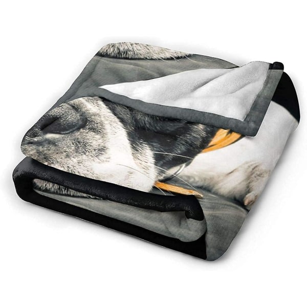 Fransk Bulldog Slengeteppe Slitestarkt Mykt Slengeteppe Fleece Teppe Ultramykt Mikrofleece Teppe For Seng -n26 50x40in 125x100cm