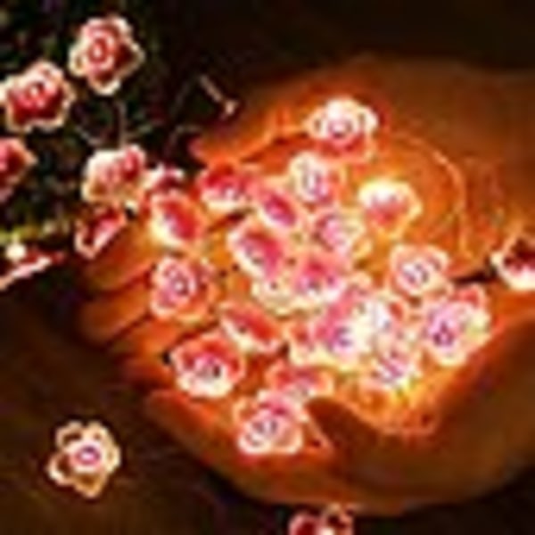 Cherry Blossom Fairy Lights for flickor Rosa Fairy Lights i B