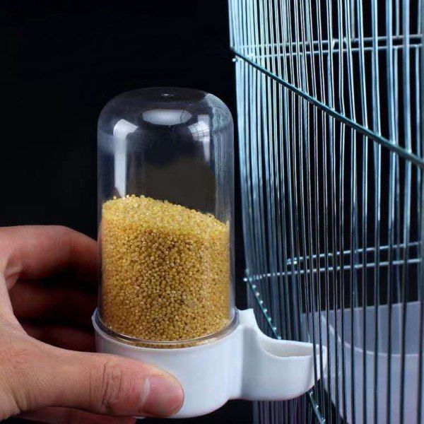 Pack Parrot Feeder Parakeet Vatten Dispenser Ingen Röra Automatisk Fågelmatning Tillbehör för Cockatiel 100ml 60ml S