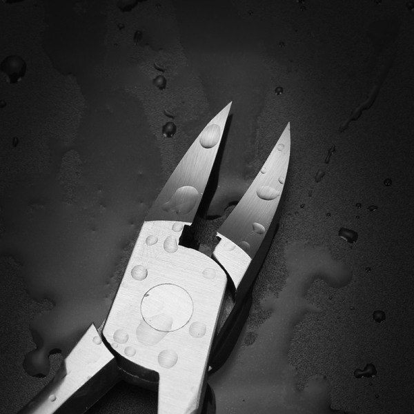Tåneglsklipper Fjernelse af Død Hud Neglekorrektion Nipper Indgroede Tånegls icle Scissor Edge ter Tyk Pedicure Plejeværktøj Black one size
