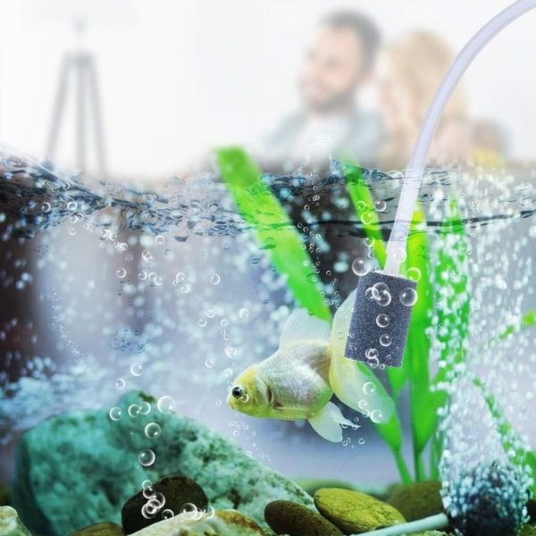 Bærbar Mini USB Akvarium Fisketank Oxygen Luftpumpe Lydløs Energibesparende Tilbehør, Sort