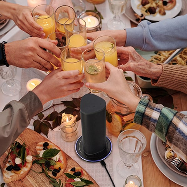 Bærbar magnetisk trådløs lader for Sonos Roam-høyttalere Power Up ladestasjon for DC 5V 1A-2A inngangsspenning