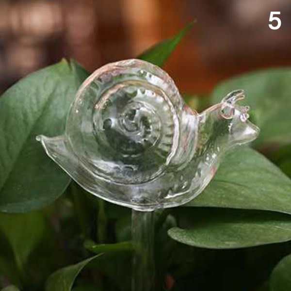 11 Typer Glas Blomster Vattenmatare Automatisk Självbevattning De Transparent 5 Transparent 5