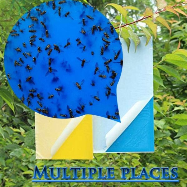 30 flygande insektsfällor 30 st Sticky Trap Dubbelsidigt lim Blå klistermärken Papper Vattentätt insektsmedel för trädgårdsväxter Blomma Fruktskydd