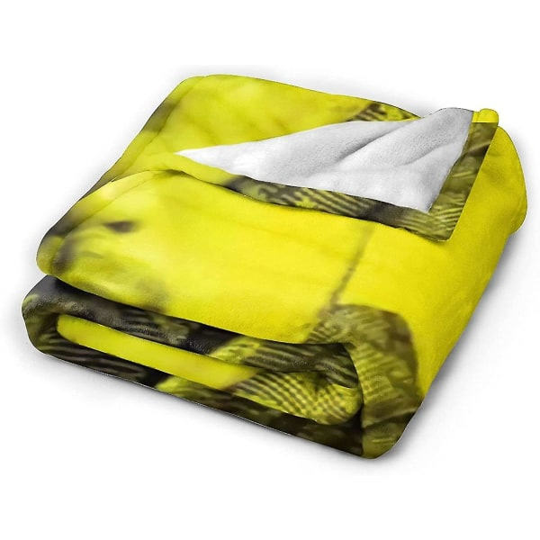 Luke Evans Mjuk och bekväm varm fleecefilt för soffa, kontorssäng, bilcampingssoffa, mysig fluffig plyschfilt, strandfilt - d95 50x40in 125x100cm