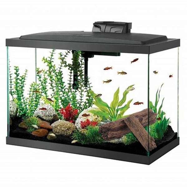 Loggtrestammepynt fisk for akvariumdekorasjon Stubbe akvarium gjemmested dekor M