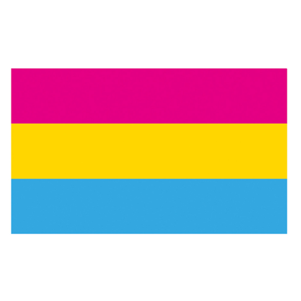 Pansexual Pride Flag 3x5ft - Regnbågsflagga Levande farve og bleknar