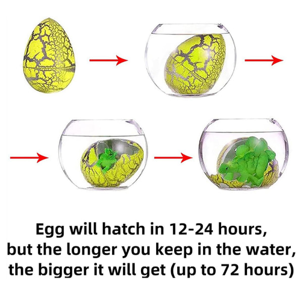 24 kpl/pakkaus Kasvavat munat kuoriutuvat Dino-munat kasvavat vedessä Dino E