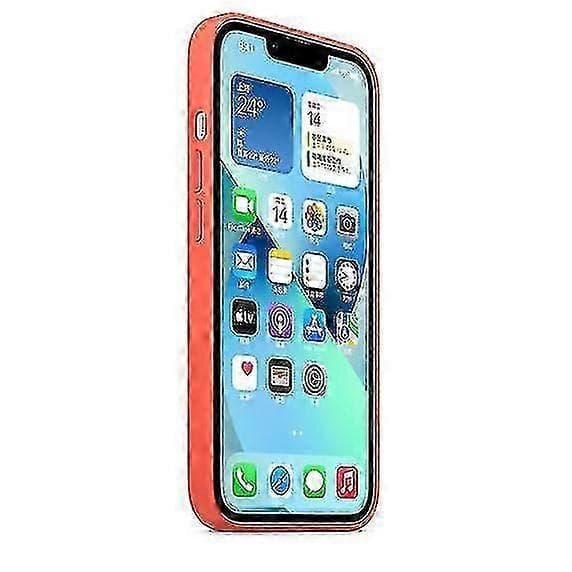 Silikonskal med Magsafe för iPhone 13 Nectarine