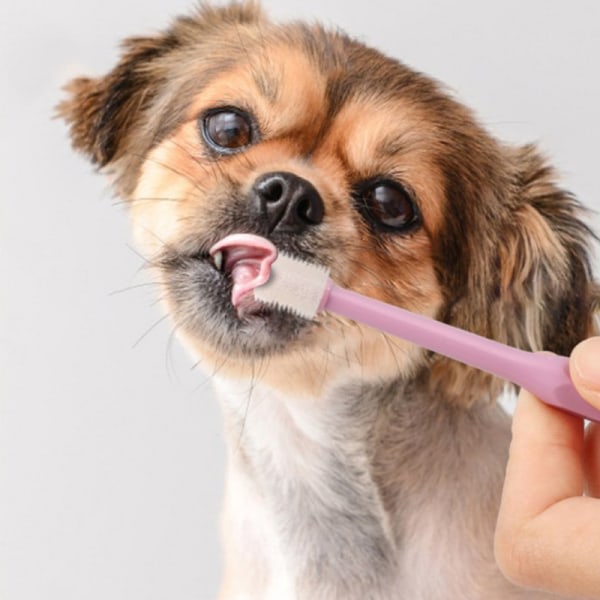 Husdjursrengöringstillbehör Katt Hund Tandborste 360 ​​graders mun Lila
