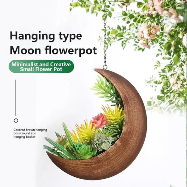 Hängande växtkruka måne hängande suckulent planter rustik metall planter kaktus hängare hängande halvmåne kruka med växt hängare black