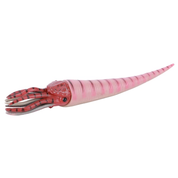 Simulerings Orthoceras Model Ornament Skrivebordsdekoration Ornament Børnelegetøj (PL127-1526)