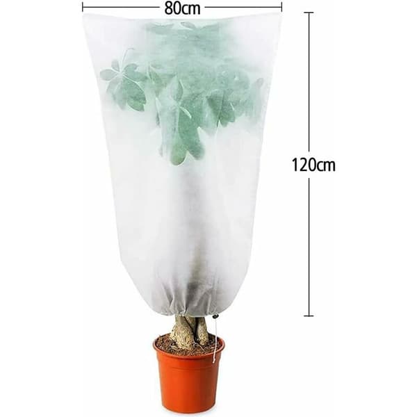 Udendørs Plante Vinterdække Plantebeskyttelse Vinter 80x120cm