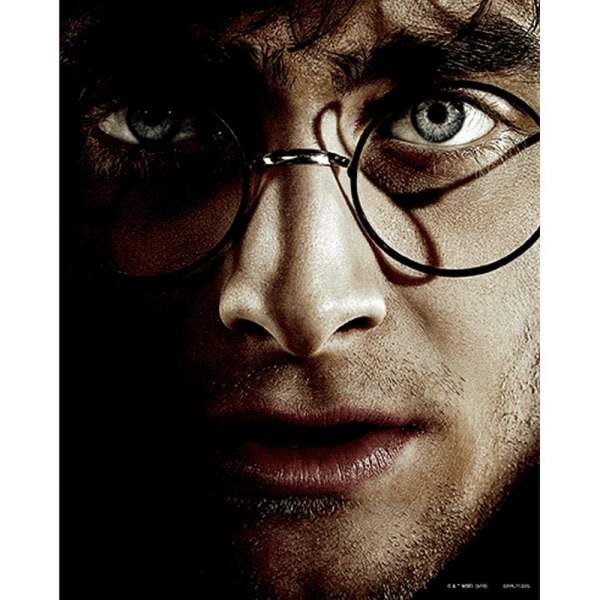 Harry Potter 3D-utskrift 25cm x 20cm Flerfärgad Flerfärgad 25cm x 20cm